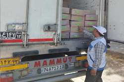 صادرات بیش از 1153 تن دنبه از شهرستان طرقبه شاندیز